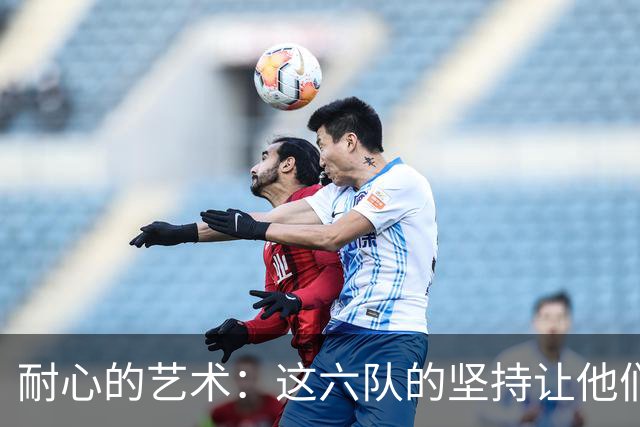 耐心的艺术：这六队的坚持让他们收获传奇