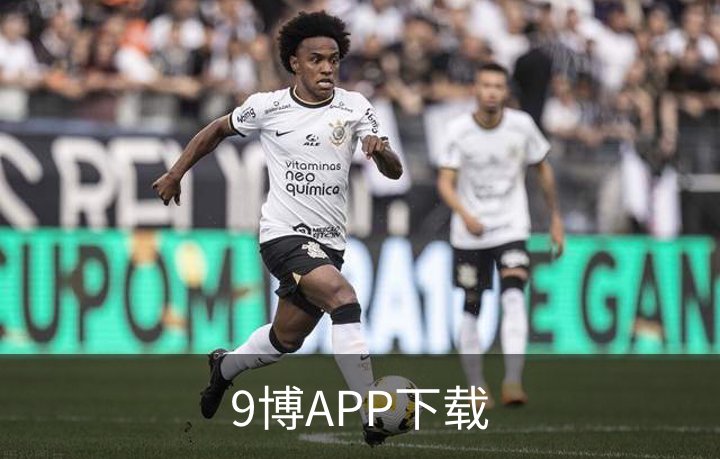 9博APP下载概况